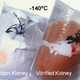 Image for article titled The economic problems with cryogenically freezing your body